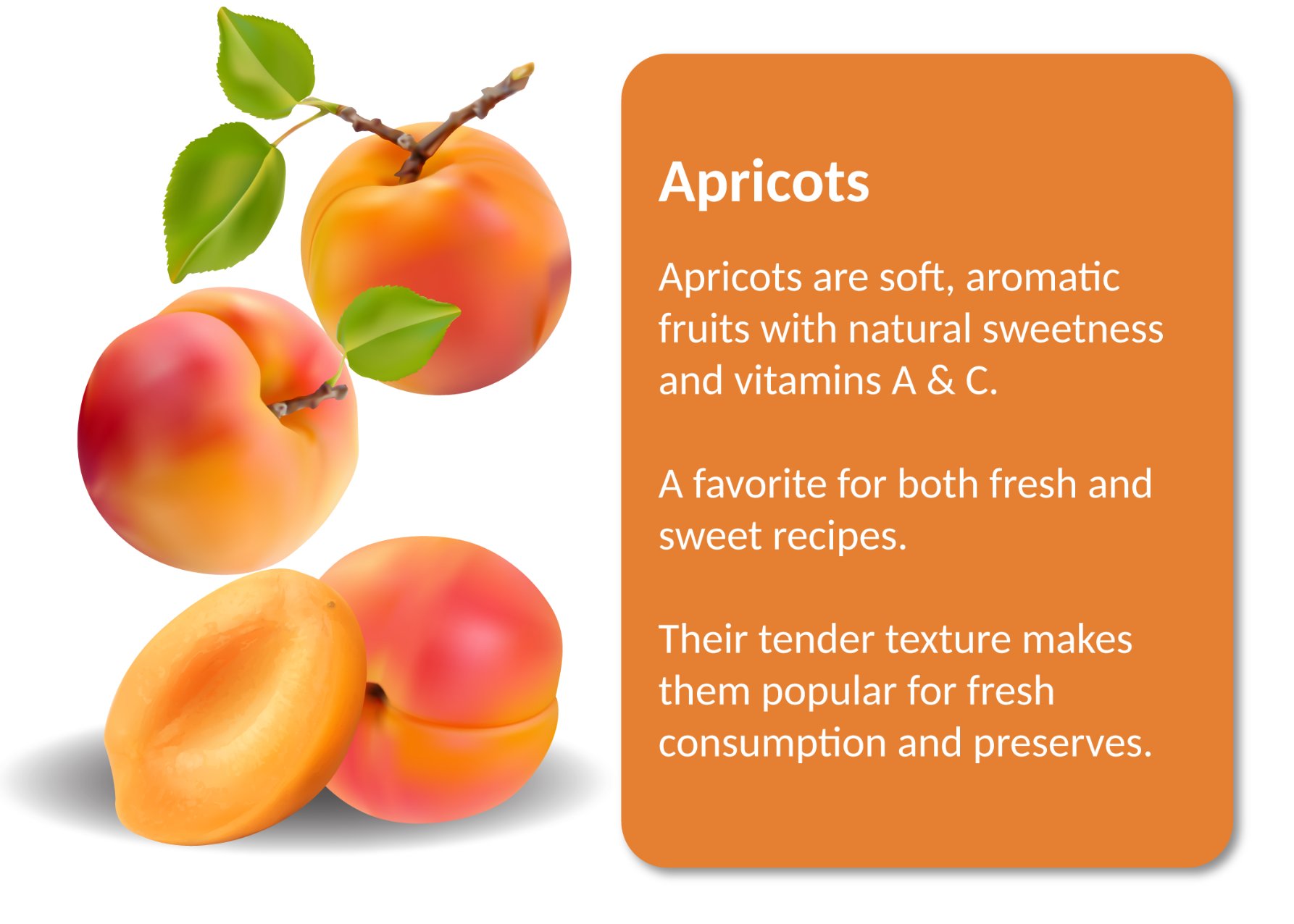Apricot_1