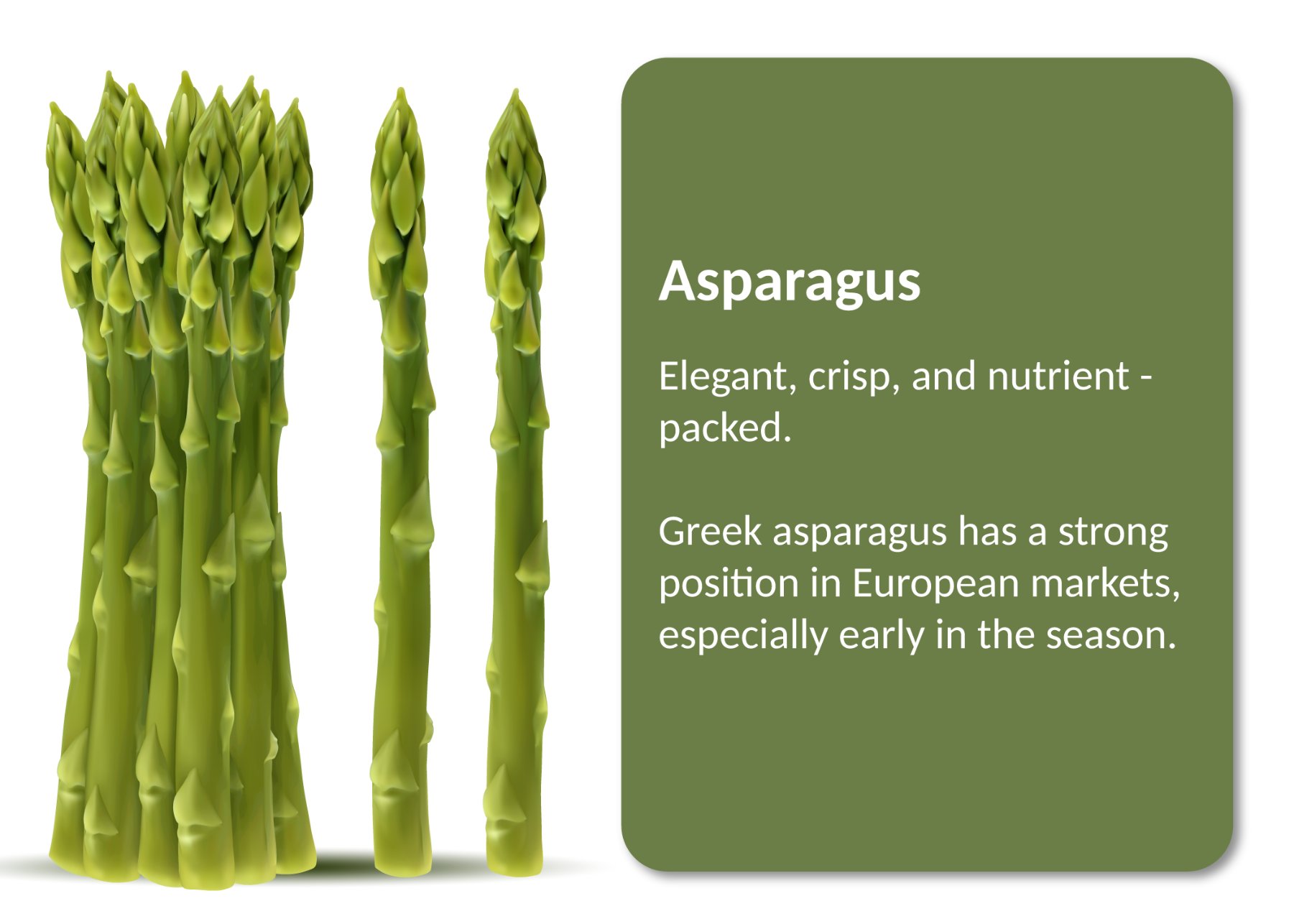 Asparagus_1