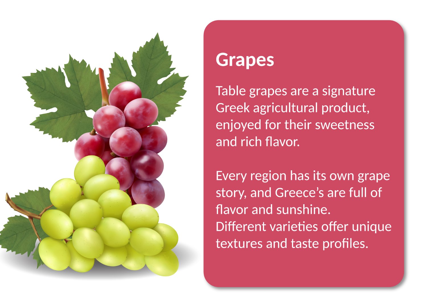 Grapes_1