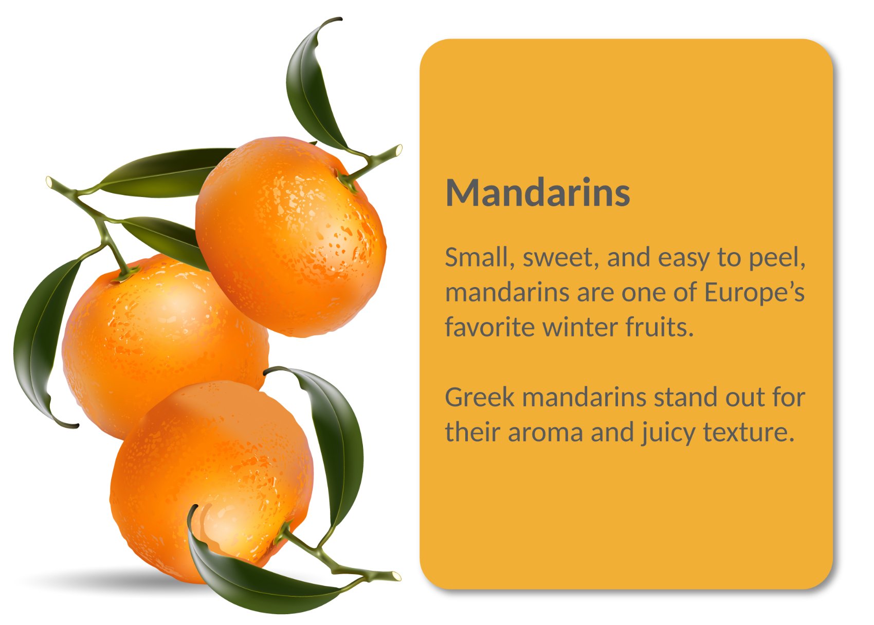 Mandarins_1